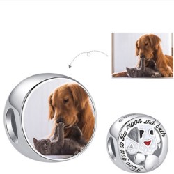 Charm plata mascota perro redondo regalo