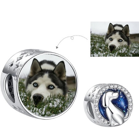 Mascota perro fondo azul Charm redondo foto personalizado